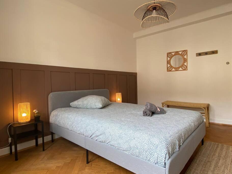 Charismatique Orangerie-10Min Parlement Eu-Wifi-Tv Apartment Strasbourg Exterior photo