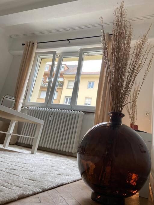 Charismatique Orangerie-10Min Parlement Eu-Wifi-Tv Apartment Strasbourg Exterior photo